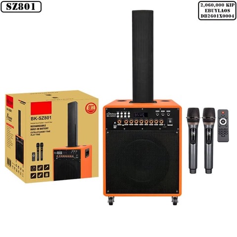 Enceinte karaoké sur trolley WGY-SZ801 avec 2 microphones