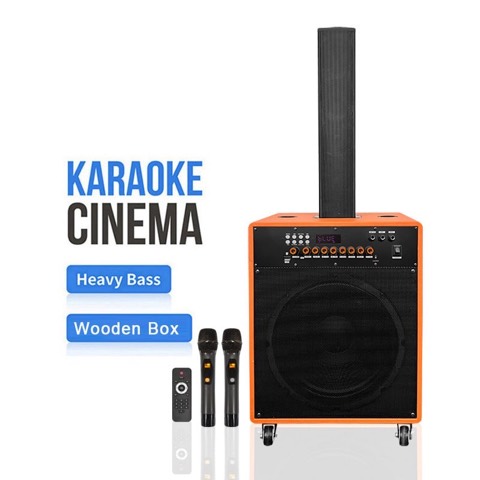 Enceinte karaoké sur trolley WGY-SZ101 avec 2 microphones