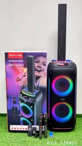Enceinte de soirée Bluetooth WGY-SZ8803 avec 2 microphones