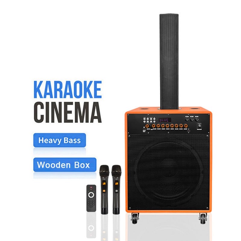 Enceinte karaoké sur trolley WGY-SZ101 avec 2 microphones